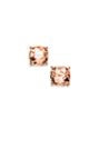 Natasha Solid Stone Earrings